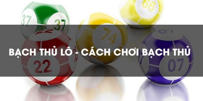 Cách chơi bạch thủ lô hiệu quả cho tỷ lệ trúng cao