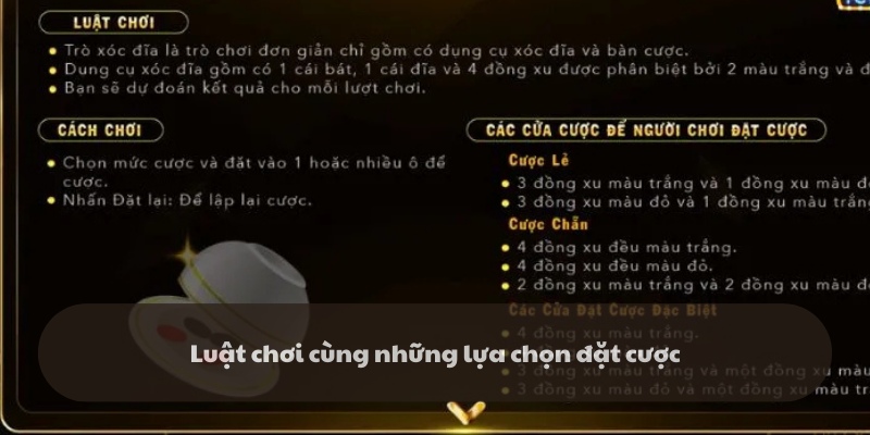 Những cửa cược chính trong xóc đĩa tứ linh