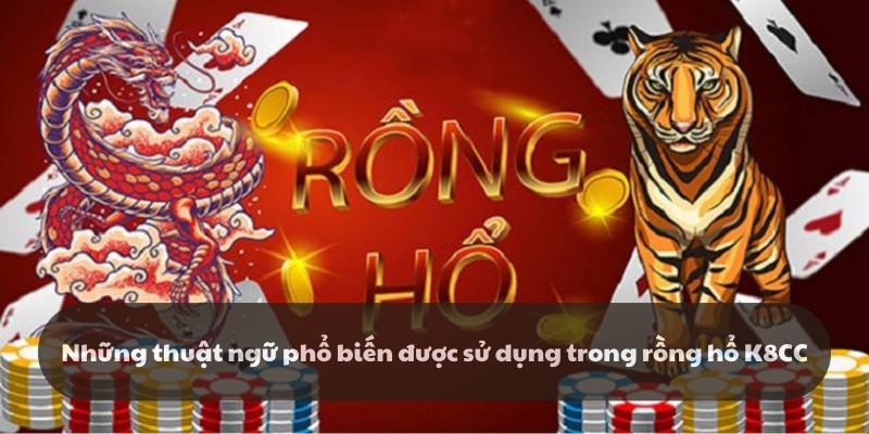 Những thuật ngũ phổ biến trong rồng hổ