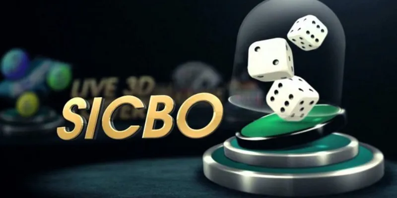 Chiến lược chơi Sicbo từ cao thủ để tối đa hóa tỷ lệ thắng